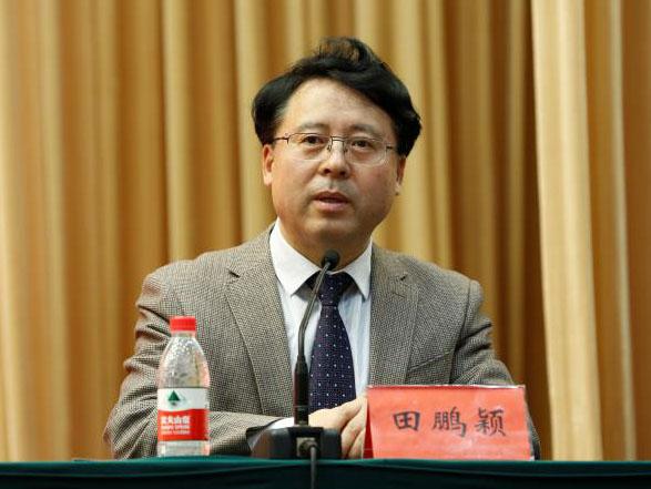 田鵬穎：投入其中、樂在其中、安身其中