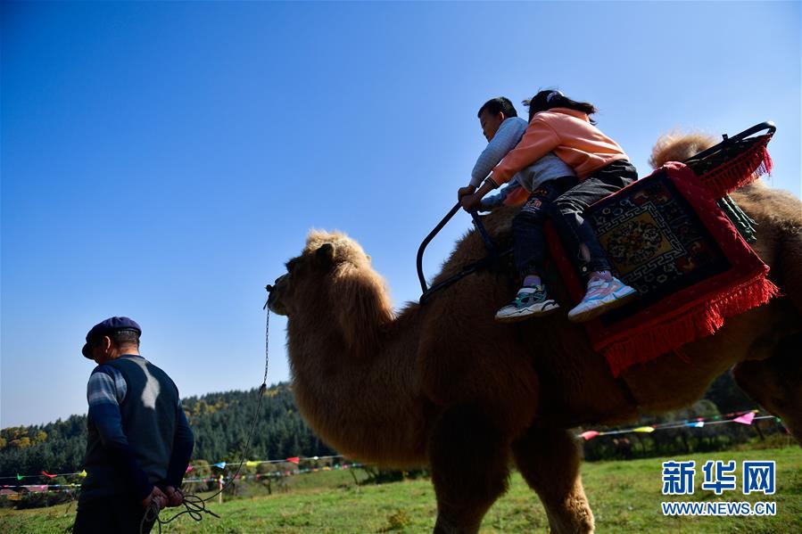 （全面建成小康社會“百城千縣萬村調(diào)研行”·圖文互動）（7）青?？柎澹骸肮夤鞔濉钡娜A麗轉(zhuǎn)身