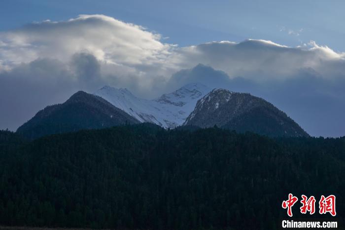 西藏波密縣的原始森林與雪山風(fēng)光?！〗w波 攝