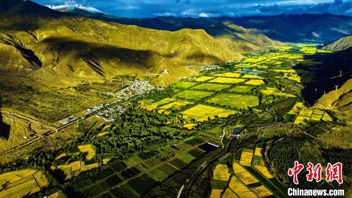 圖為山南雍布拉康附近農(nóng)田?！埼?攝