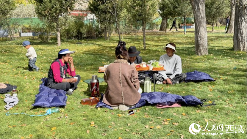 圖為市民在公園內(nèi)聚會。人民網(wǎng)記者 次仁羅布攝