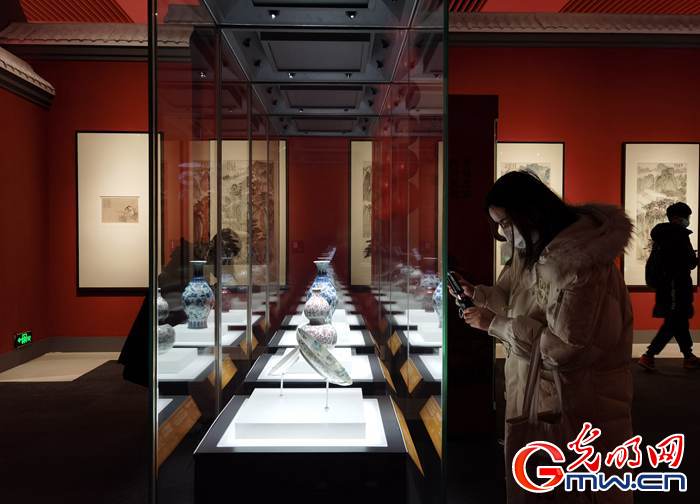 【新春走基層】視頻丨虎年看虎展！來國博感受虎文化