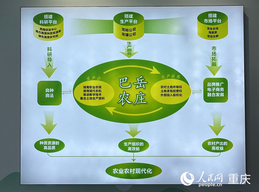 “巴岳農(nóng)莊”運(yùn)作示意圖。人民網(wǎng)記者 劉政寧攝