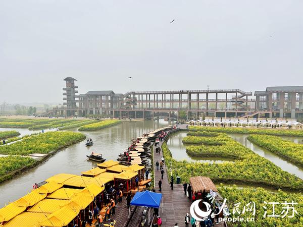 興化千垛菜花旅游節(jié)期間，游客前來打卡。人民網(wǎng) 王丹丹攝